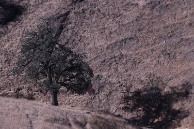 DSC_2180 (Large).JPG